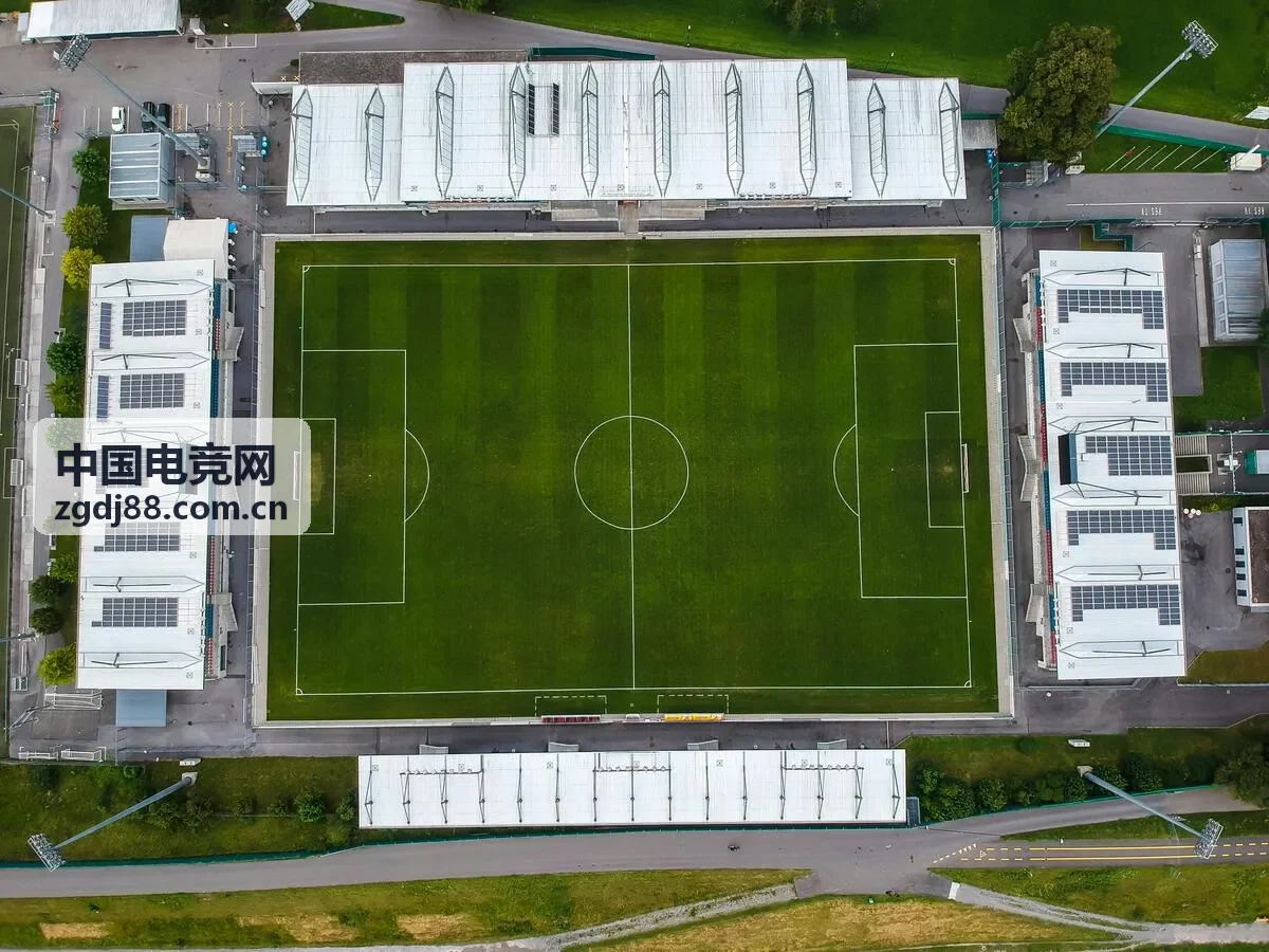 中国电竞网赛事营销案例